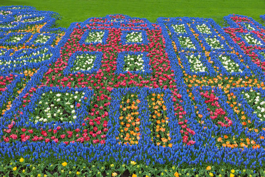 Flowers pattern in Keukenhof Garden, Netherlands