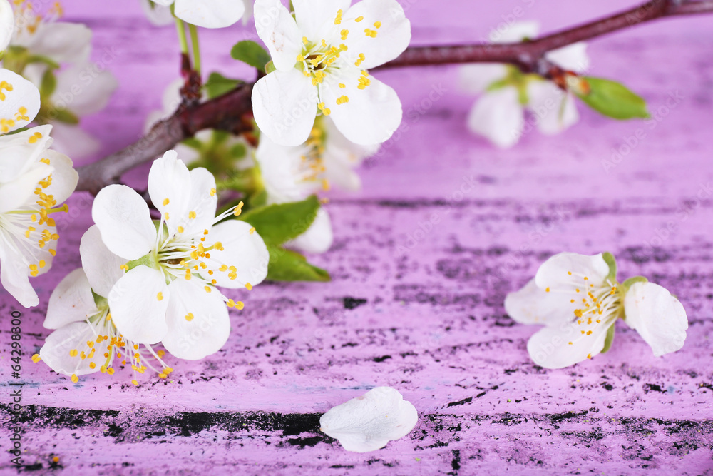 Wall mural Blooming tree branch with white flowers on wooden background