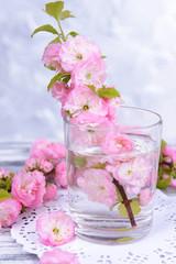 Beautiful fruit blossom in glass on table on grey background