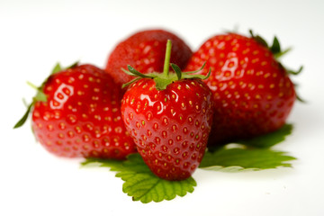 isolated studio shot of strawberries on white background