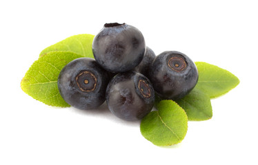 Fresh blueberries isolated on white background