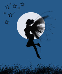 fairy girl and full moon