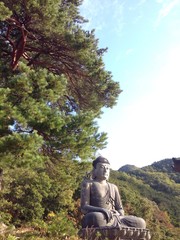 big buddha statue in south korea