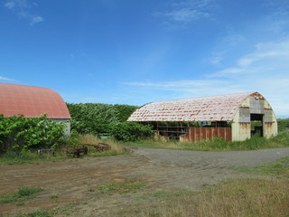Fototapeta na wymiar 丸屋根の小屋