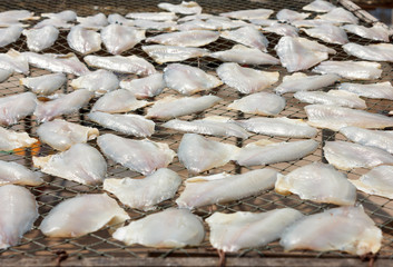 Slice dried climbing perch fish