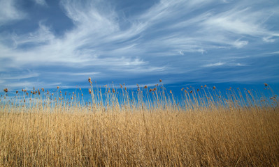 Spring in Southern Finland