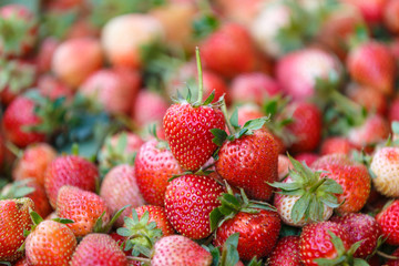 Sweet ripe strawberries close-up