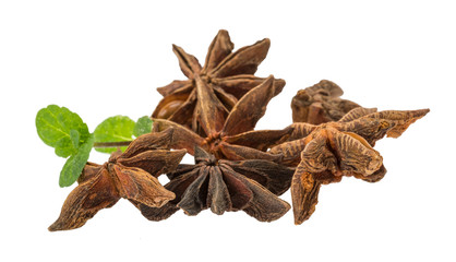 Star-anise