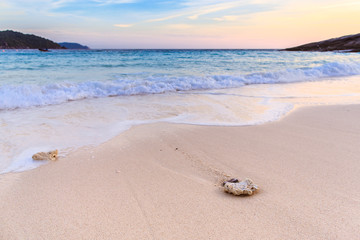 Beautiful beach and crystal clear sea at tropical island,