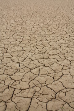 Trockenheit
