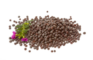 Black mustard seeds