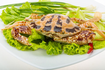 Raw red crab