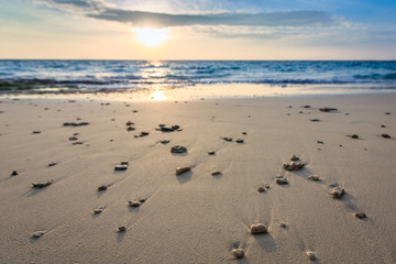 Beautiful beach and crystal clear sea at tropical island,
