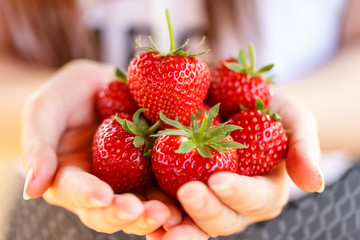 Fresh strawberries picked from a strawberry farm - 64308598