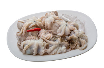 Raw octopus