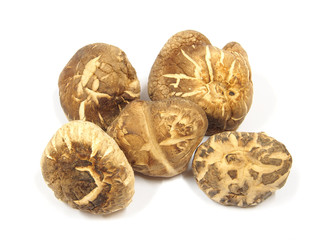 Dry dried mushrooms isolated on white background. Selective focu