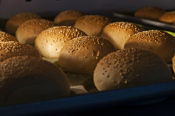 hamburger buns