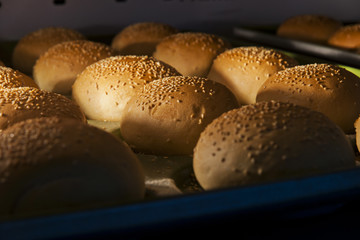 hamburger buns