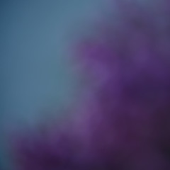 Fototapeta premium shaded purple turquoise
