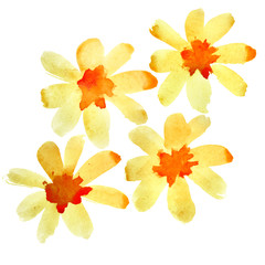 Naklejka na ściany i meble Yellow watercolor flowers