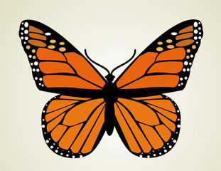 Butterfly. Vector illustration