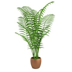 realistic 3d render of plant