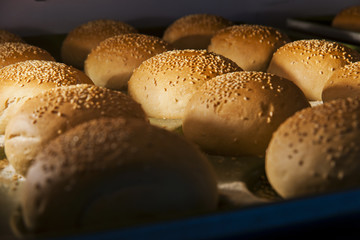 hamburger buns