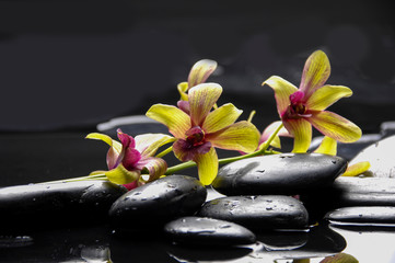 Obraz na płótnie Canvas Yellow orchid flower and stones in water drops