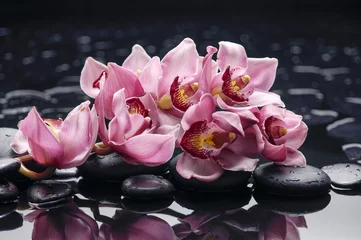 Rolgordijnen Beautiful branch pink orchid flower with back stones reflection © Mee Ting