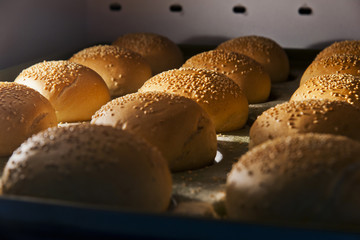 hamburger buns