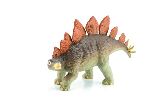 Stegosaurus dinosarus toy