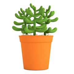realistic 3d render of succulent