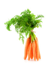 Bunch of fresh baby carrots on white background.