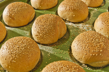 hamburger buns