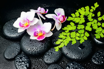 Spa still life of white with red orchid (mini phalaenopsis) flow