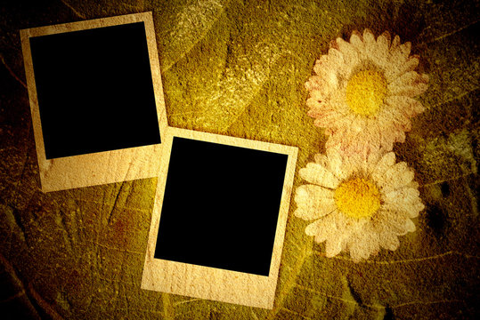 Two empty instant photo frames