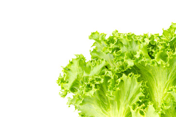 Vegetables isolated on white background