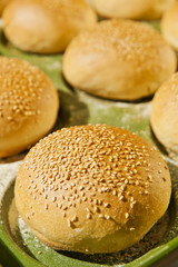 hamburger buns