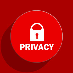 privacy flat vector icon