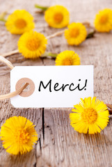 Yellow Flowers with Merci