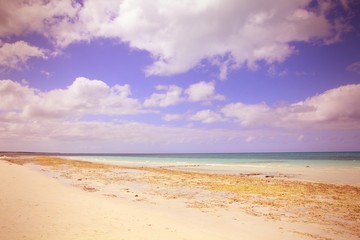 Fototapeta na wymiar Cuba - tropical beach in Cayo Coco - cross processed color tone