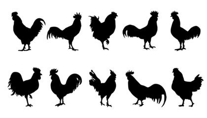 rooster silhouettes - obrazy, fototapety, plakaty
