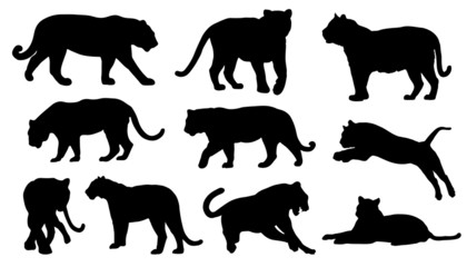 tiger silhouettes