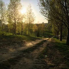 В парке
