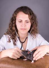 Obraz premium laboratory animal research rat