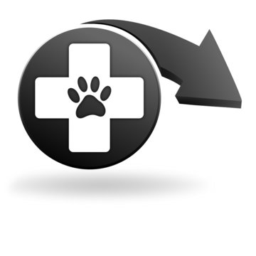 vétérinaire patte de chien sur symbole noir