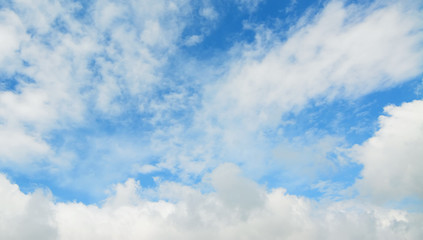 Fototapeta premium blue and white