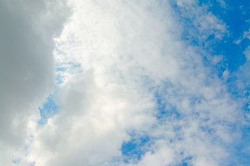 white, gray and blue