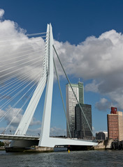 Erasmus bridge and skyscrapers of Rotterdam