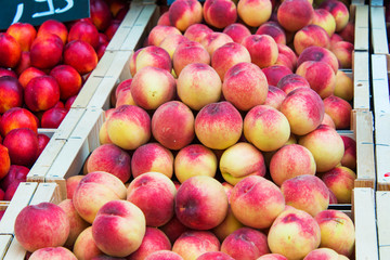 Peacxhes in healthy concept